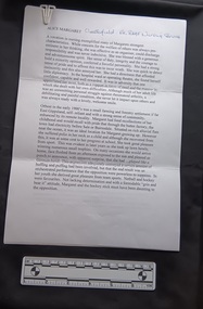 Typed pages attached by a plastic paper clip titled Alice Margaret