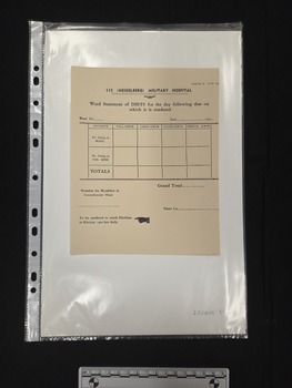 Printed medical form on cream paper. The form has not been filled out. Form is titled Ward Statement of DIETS for the day following on which it is rendered