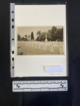 A black and white photo showing several rows of headstones.
