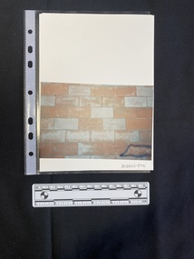 Colour photo of bricks with inscriptions