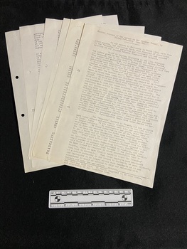 Typed account in black ink on A4 paper with two hole-punch holes down the left side of all pages.