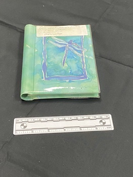 Small, green, plastic covered photo album with a blue watercolour dragonfly inside a blue border on the front cover. Large white sticker label across the top.