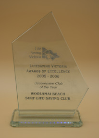 Award - Glass Trophy, Lifesaving Victoria  Awards  of Excellence  2005 - 2006, 2006