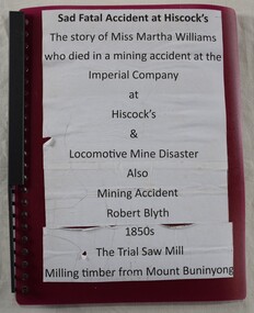 Notes concerning a number of mining accidents, including a young girl, Martha Williams, killed at the Imperial Mine, Hiscocks. 