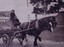 Reproduction of a black and white photograph of a horse-drawn Buninyong fire cart, undated.