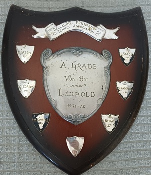 Wooden shield with silver metal plates
