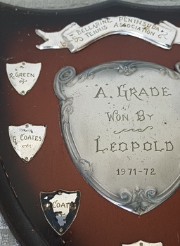 Wooden shield with silver metal plates