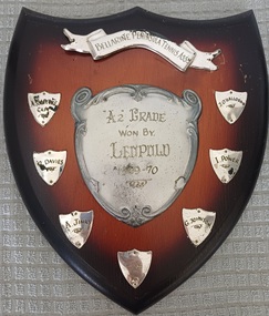 Wooden shield with silver metal plates