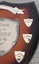 Wooden shield with silver metal plates