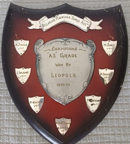 Wooden shield with inscribed silver plates