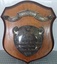Wooden shield with banner and inner shield plate