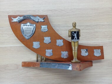 Wooden and plastic trophy with 10 silver plates and gold figure