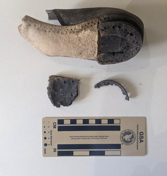 Fragments of a small leather show