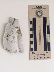 Ceramic - Ceramic shard, Mint ceramic shard
