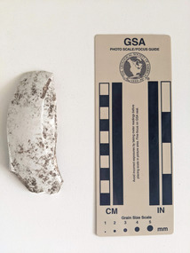 Ceramic - Ceramic shard, Mint ceramic shard