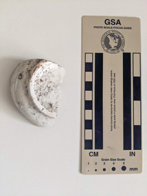 Ceramic - Ceramic shard, Mint ceramic shard