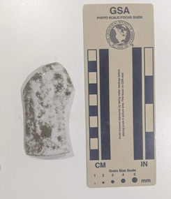 Ceramic shard with glazed white finish
