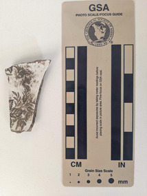 Broken piece of ceramic with a white glaze and a floral design. 