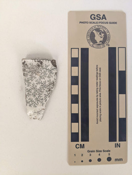 Piece of broken ceramic with a floral design