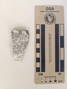 Piece of broken ceramic with a floral design