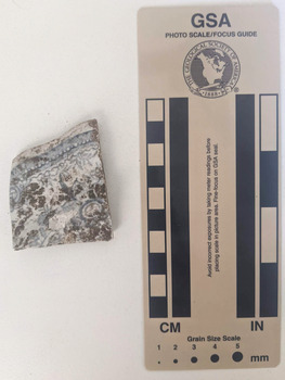 Ceramic shard with white glaze and blue decorative pattern. 
