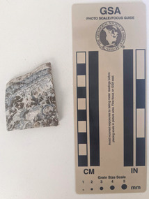 Ceramic shard with white glaze and blue decorative pattern. 