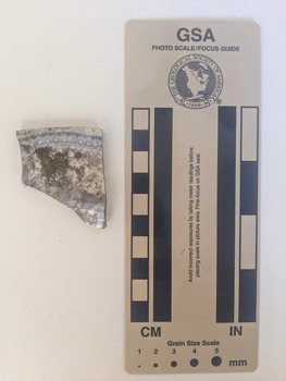 Ceramic shard with white glaze and blue decorative pattern. 
