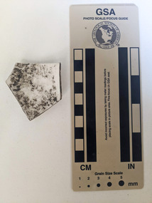 Ceramic shard with white glazed finish 
