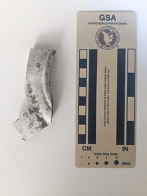 Ceramic shard with white glazed finish 