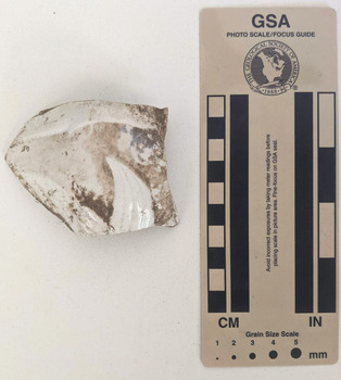 Ceramic shard with white glazed finish and a section of an embossed floral design