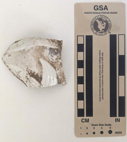 Ceramic shard with white glazed finish and a section of an embossed floral design