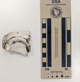 Ceramic shard with white glazed finish 
