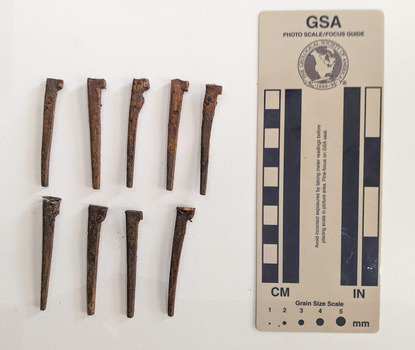 Nine nails made from iron