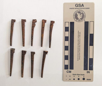Nine nails made from iron