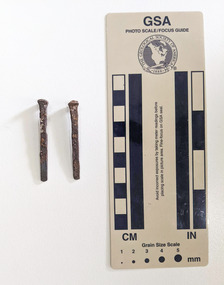 Two corroded nails made from iron 