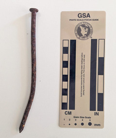 Corroded nail made from iron 