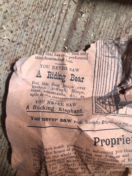 Photo of the pamphlet found in situ at Warracknabeal Court House.