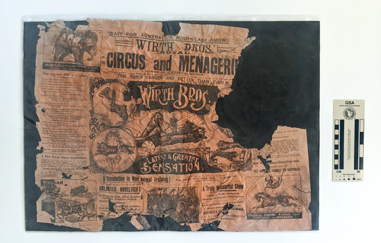 Pamphlet of a circus with an illustration of a man training tigers at the centre