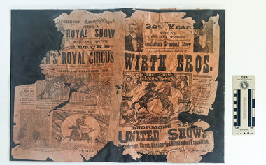 Pamphlet for a circus with an illustration of two horses boxing