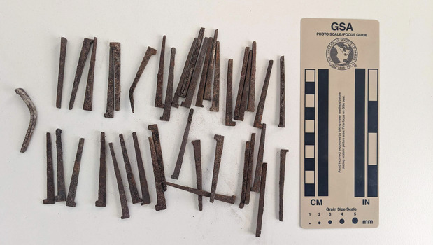 Collections of 86 medium-sized corroded nails with a spur.