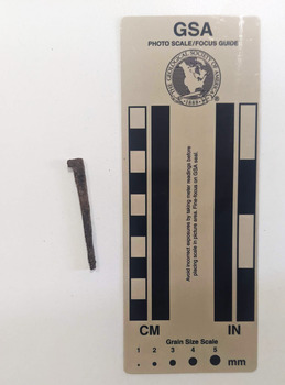 Corroded nail with a spur.