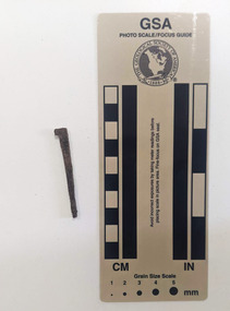 Corroded nail with a spur.