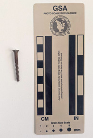 Corroded screw with groves extending down the body of the shaft