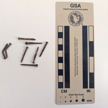 Collection of 9 corroded small-sized nails with a rounded head.