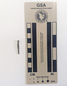 Corroded small-sized nail with a rounded head.