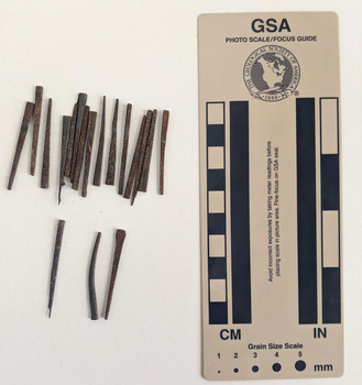 Collection of 19 corroded medium-sized nails with a wedge shape spring.