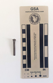 Corroded nail with a rectangular shaft that narrows to a blunt tip.