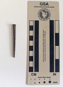 Corroded nail with a rectangular head and shaft that narrows to a blunt tip.