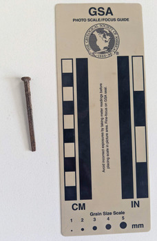Corroded nail with a square shaft that narrows to a blunt tip.