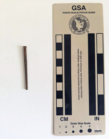 Corroded nail with a small rectangular head.